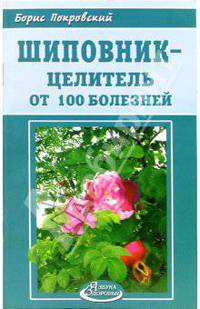 Шиповник - целитель от 100 болезней