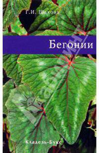 Бегонии