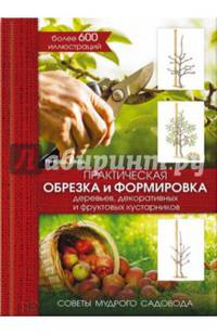 Практическая обрезка и формировка деревьев, декоративных и фруктовых кустарников. Советы мудрого садовода