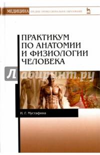 Практикум по анатомии и физиологии человека. Учебное пособие
