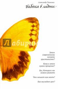 Бабочка в ладони