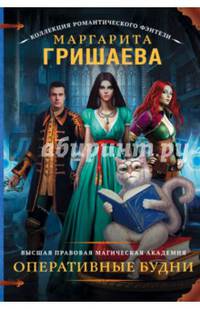 Высшая правовая магическая академия. Оперативные будни