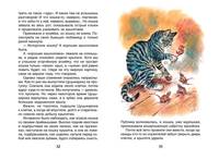 Чаплина В. Питомцы Зоопарка (ВЧ)