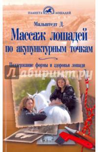 Массаж лошадей по акупунктурным точкам. Поддержание формы и здоровья лошади