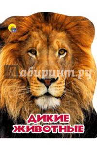 Мир животных. Дикие животные