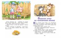 Ромашки в январе