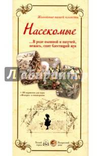 Насекомые. В розе пышной и пахучей, нежась, спит блестящий жук