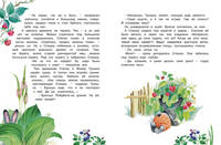Заячьи проделки