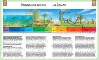 Универсальная школьная энциклопедия (нов.обл.)