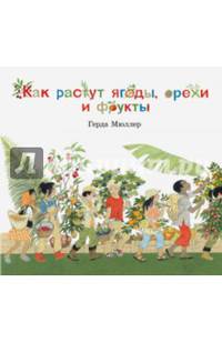 Как растут ягоды, орехи и фрукты? (иллюстрации Герды Мюллер)