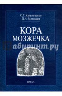 Кора мозжечка