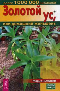 Золотой ус, или домашний женьшень (3217)