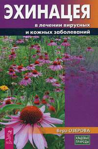 Эхинацея в лечении вирусных и кожных заболеваний (3228)