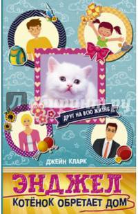 Энджел. Котенок обретает дом