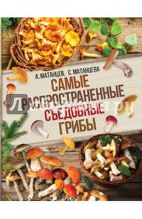 Самые распространенные съедобные грибы