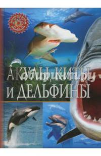 Акулы, киты и дельфины