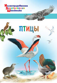 Птицы