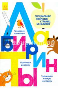 Многоразовые прописи "Лабиринты"