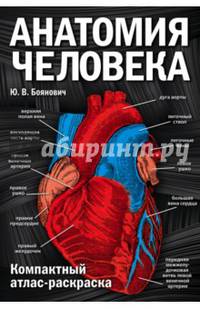 Анатомия человека. Компактный атлас-раскраска