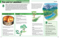 Новая энциклопедия школьника (нов.оф.)