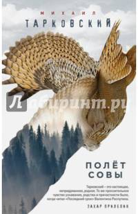 Полёт совы