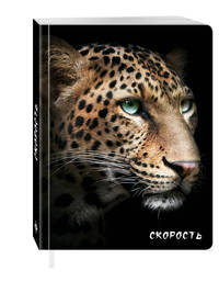 Скорость (Гепард)