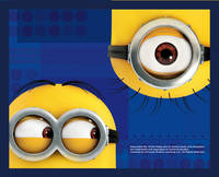 Папка для тетрадей A5 Despicable Me