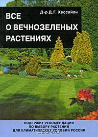 Все о хвойных и вечнозеленых растениях