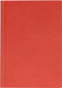 Ежедневник 105х150, GALINE (Оранжевый)