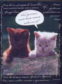 Зап.книжка А6 64л. Зверята-котята-48099