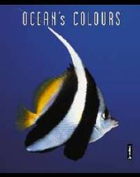 Записная книжка.А6 80л. Океан-48199(дут)синяя клетка
