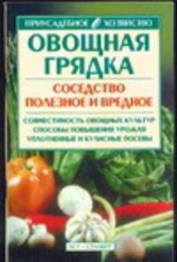 Овощная грядка: соседство полезное и вредное