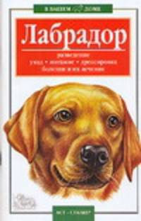 Лабрадор