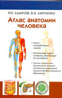 Атлас анатомии человека