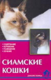 Сиамские кошки