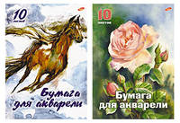 Бум д/акв 10л Папка А4 5816,5817-EAC Розы, Конь