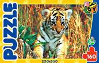 Пазл.160А.6420 Тигрёнок в траве