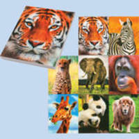 Блокнот 3D WILD ANIMALS, 30 листов, формат А7, обложка-пластик.Упаковка - дисплей по 80 шт.