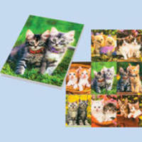 Блокнот 3D CATS, 30 листов, формат А7, обложка-пластик.Упаковка - дисплей по 80 шт.