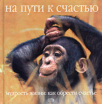 На пути к счастью
