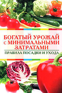 Богатый урожай с минимальными затратами. Правила посадки и ухода