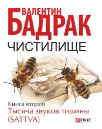 Чистилище. Кн.2 Тысяча звуков тишины