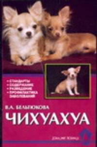 Чихуахуа