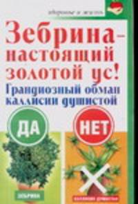 Зебрина - настоящий золотой ус