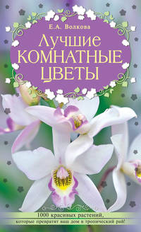 Лучшие комнатные цветы