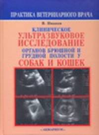 Клиническое ультразвуковое исследование органов брюшной и грудной полости у соба