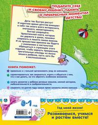 Мой первый год