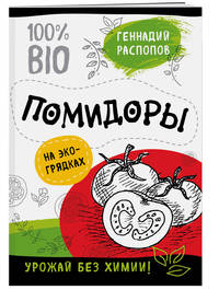 Помидоры на эко грядках. Урожай без химии