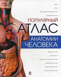Популярный атлас анатомии человека