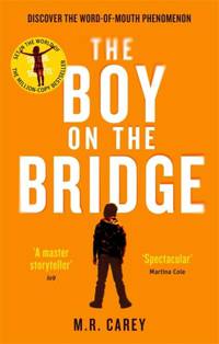 Boy on the Bridge